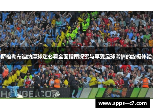 萨格勒布迪纳摩球迷必看全面指南探索与享受足球激情的终极体验
