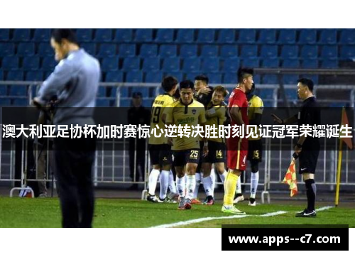 澳大利亚足协杯加时赛惊心逆转决胜时刻见证冠军荣耀诞生