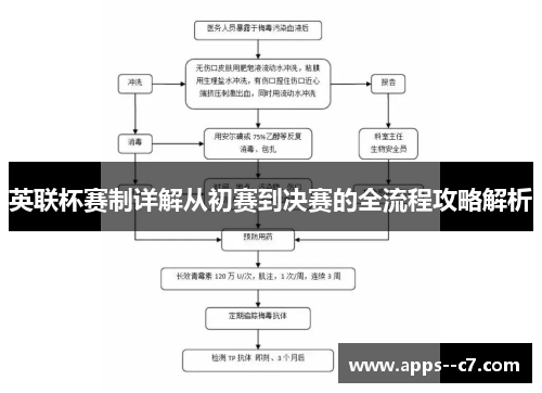 英联杯赛制详解从初赛到决赛的全流程攻略解析 英联杯赛制详解从初赛到决赛的全流程攻略解析