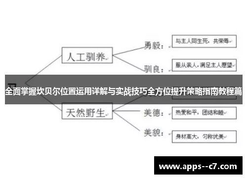 全面掌握坎贝尔位置运用详解与实战技巧全方位提升策略指南教程篇 全面掌握坎贝尔位置运用详解与实战技巧全方位提升策略指南教程篇