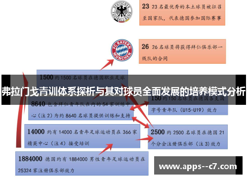 弗拉门戈青训体系探析与其对球员全面发展的培养模式分析