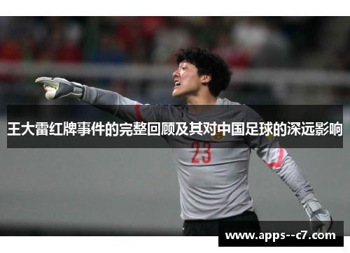 王大雷红牌事件的完整回顾及其对中国足球的深远影响