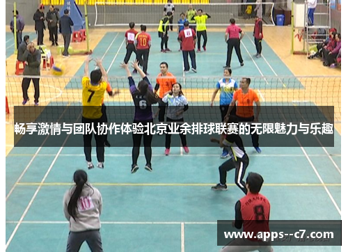 畅享激情与团队协作体验北京业余排球联赛的无限魅力与乐趣